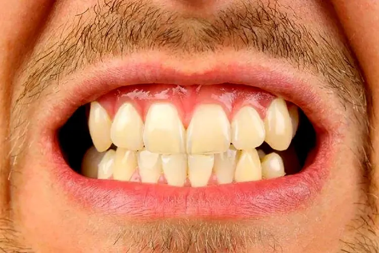 Hacen crecer dientes nuevos; crean medicamento