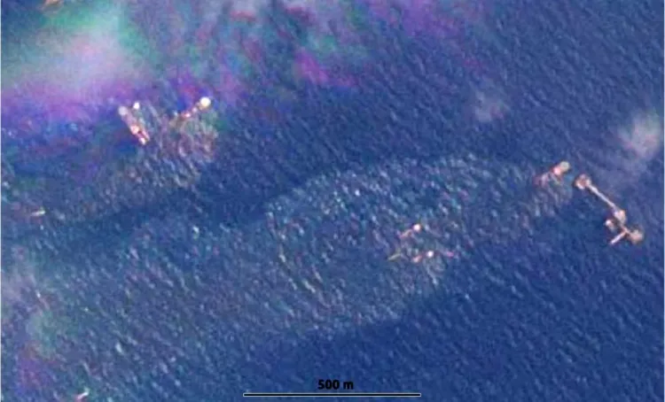 Denuncian ONG un derrame de crudo en Golfo de México