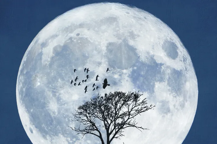 Hoy es el Día Internacional de la Luna