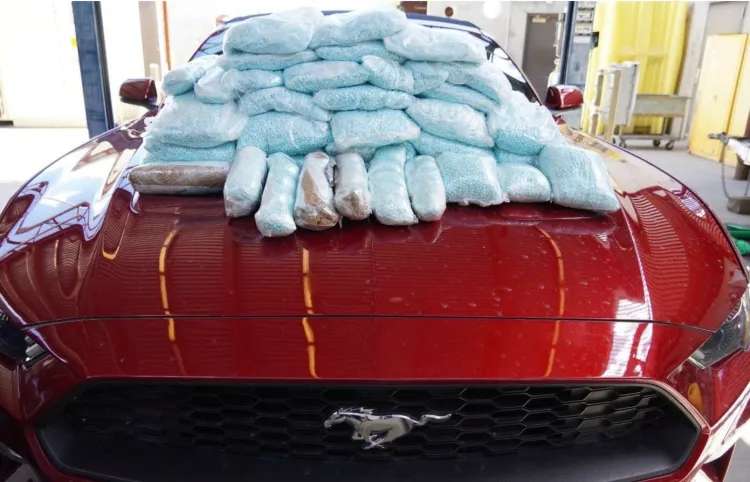 Incautan casi medio millón de pastillas de fentanilo