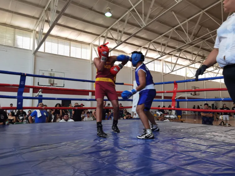 Tienen fiesta de pugilismo