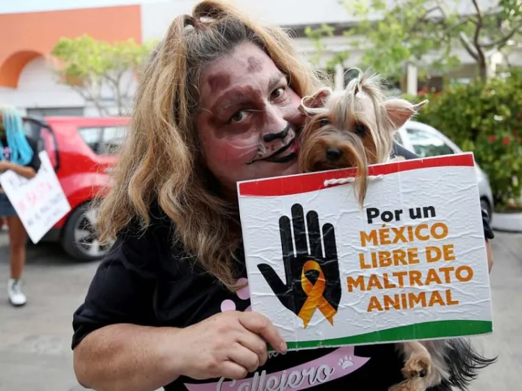 Va AMLO por día para el trato humano y justo para los animales