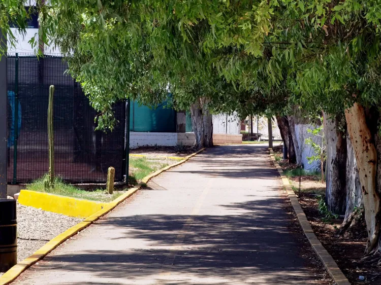 Reforestarán ciudadanos la unidad deportiva “Estrellas Nogalenses”