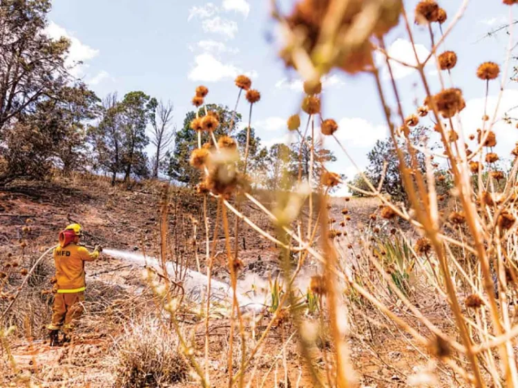 Daño millonario por incendio en Hawái