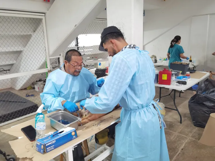 Cumplen nogalenses con el cuidado de sus mascotas