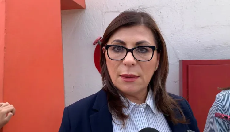 Buscan se instale empresa de baterías de litio