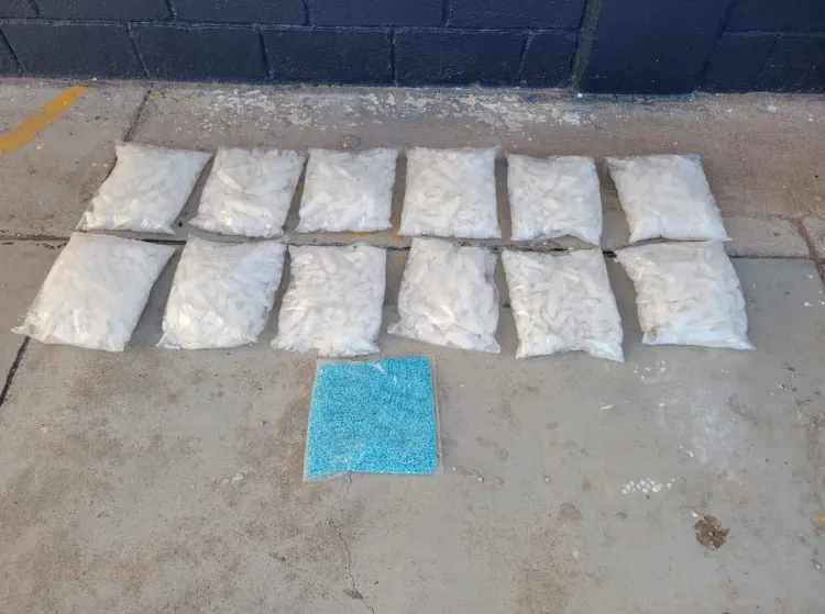 Aseguran narcóticos en vagón del tren; abren carpeta de investigación