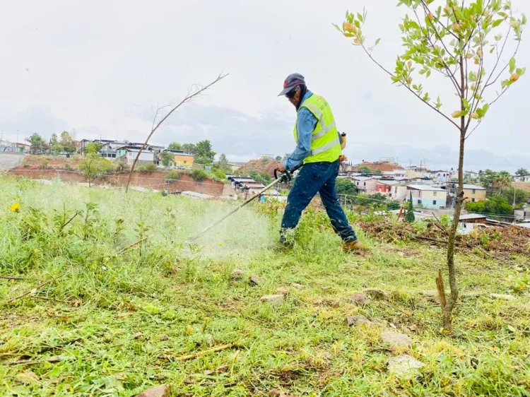 Mejoran imagen del periférico Luis Donaldo Colosio