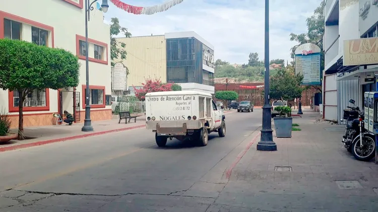 Atropellan a perro y lo deja mal herido