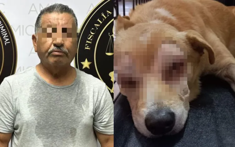 Arrestan a hombre por maltrato animal