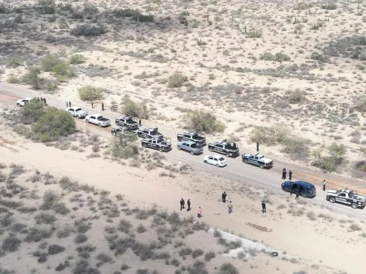 Posibles cateos en comunidades seris