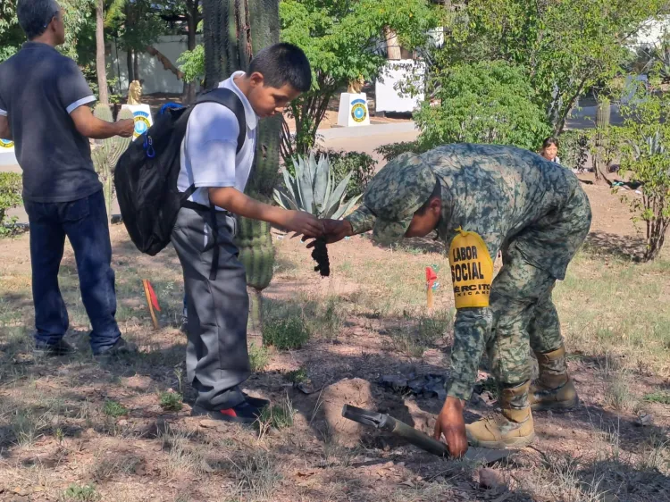 Termina campaña de reforestación de la Sedena