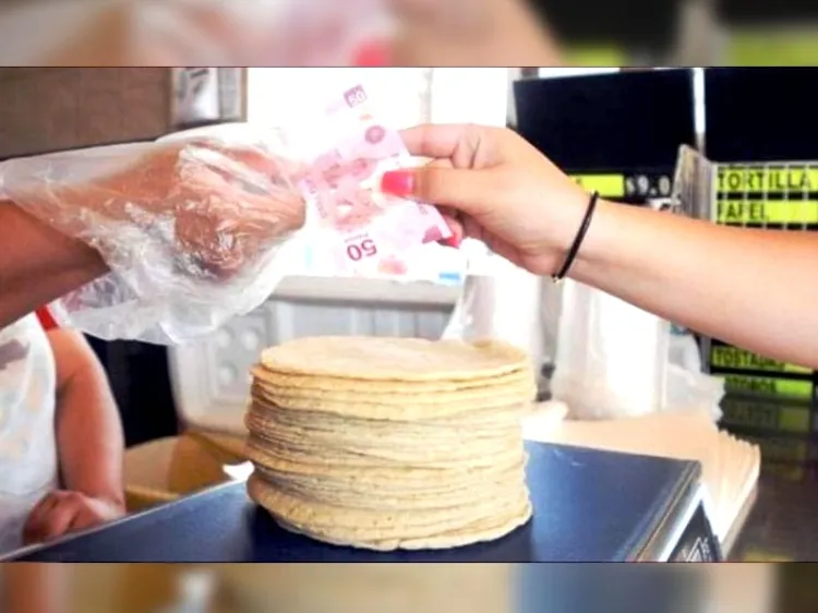Supera los 30 pesos por kilo el precio de la tortilla de maíz en México