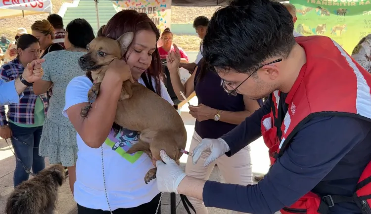 Arranca campaña estatal contra la rabia