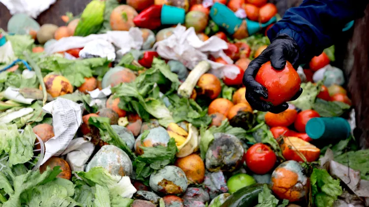 Busca Banco de Alimentos rescate de alimentos