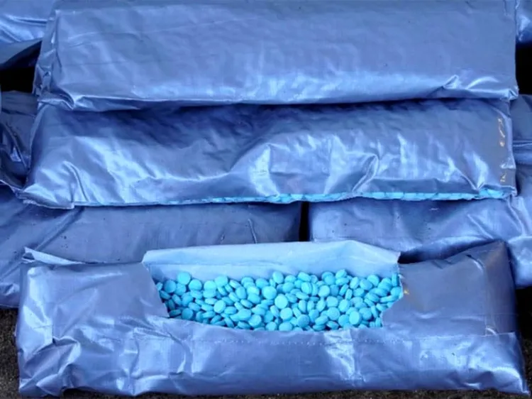 Autoridades de la CBP logra importantes decomisos