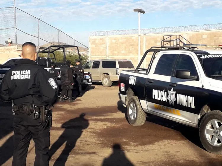 Escapan dos ‘pitbulls’ de casa y atacan a perro pequeño