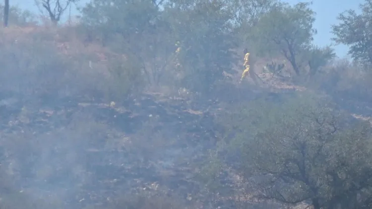 Apagan incendio forestal bomberos
