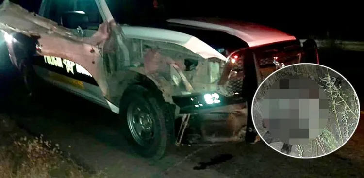 Atropella patrulla de policía a vaquero y caballo; ambos perdieron la vida