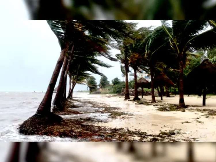 Toca tierra en Sinaloa “Norma”; quedan usuarios si luz