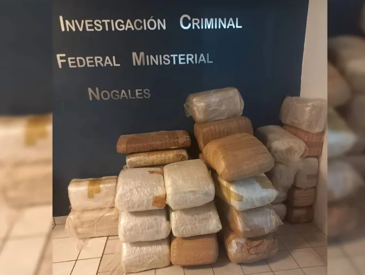 Aseguran marihuana en Magdalena; 200 kilos