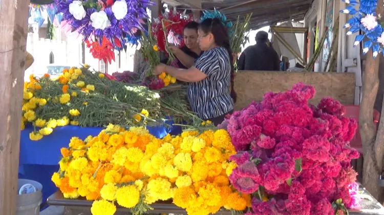 Dan vida a panteones en El Día de Muertos