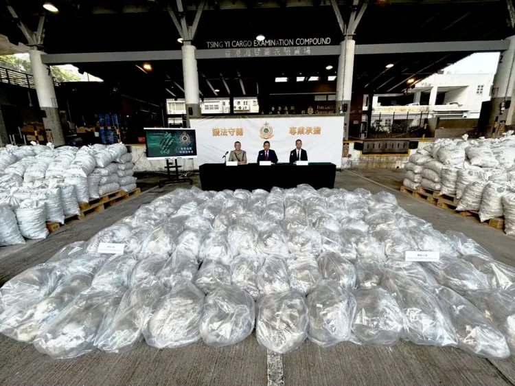 Decomisan más de una tonelada de narcóticos, venía de México en costales de Segalmex