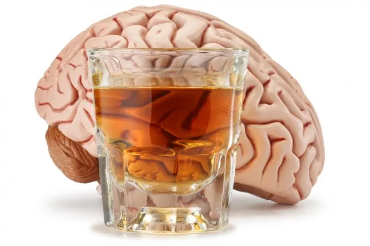 Tu cerebro tarda esto en repararse del daño causado por el alcohol