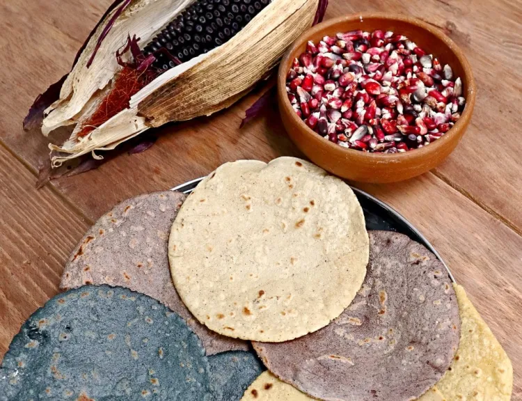Tortilla de maíz ayuda en la prevención del cáncer: Estudio