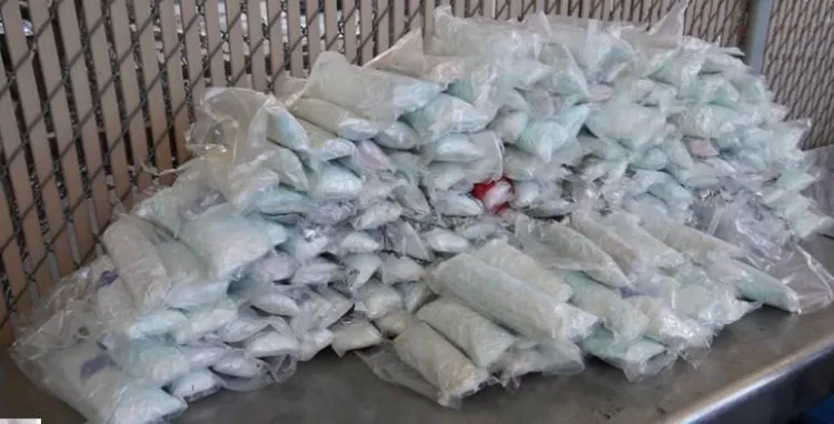 Decomisa la CBP más de medio millón de pastillas de fentanilo