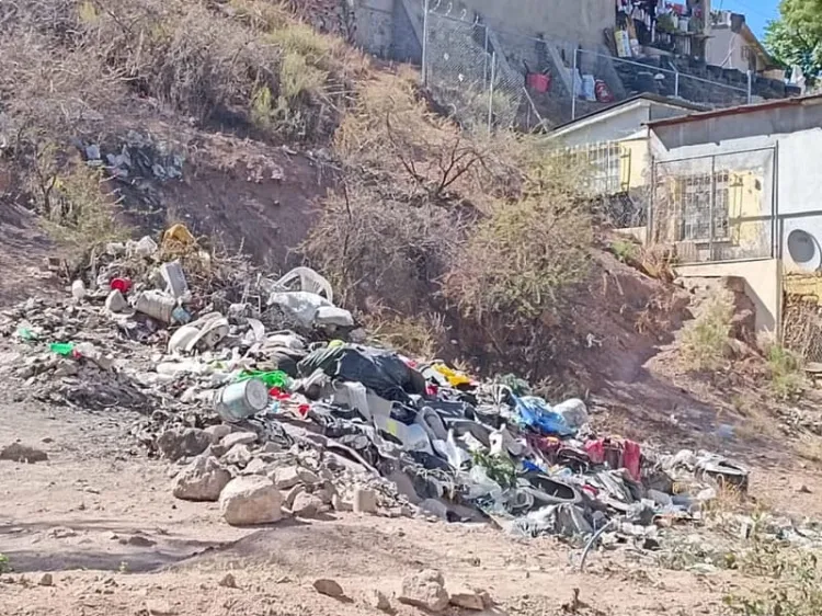 Ayuda Patrulla Ambiental en la limpieza de la ciudad