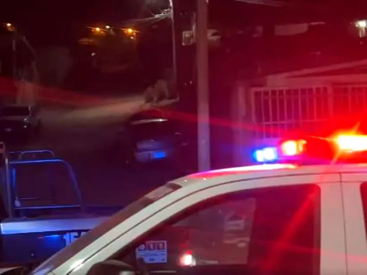 Denuncian robo en domicilio de la Buenos Aires