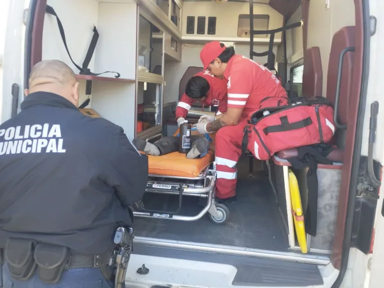 Atacan perros a niño, queda internado con lesiones graves