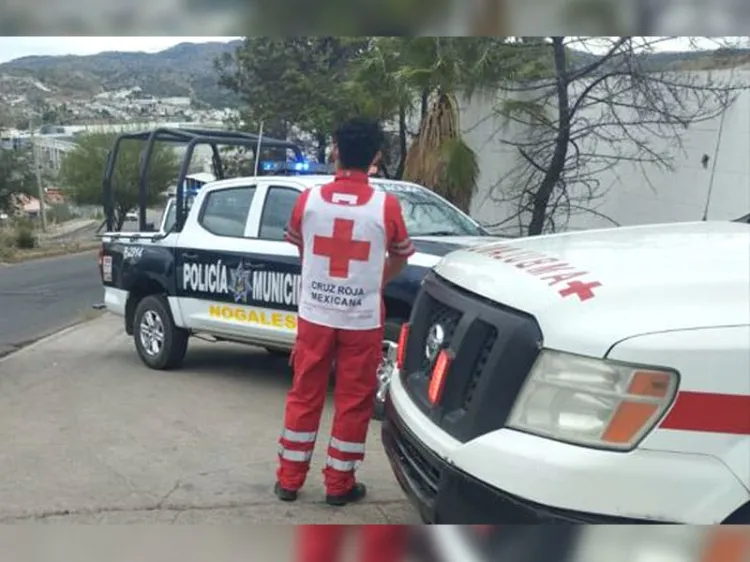 Muerde perro a niño frente a su casa