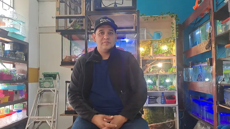 Emiten recomendaciones para mantener a salvo a mascotas