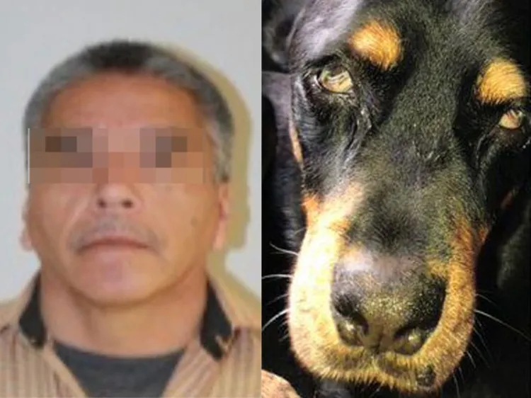 Agresor de la mascota ‘Sbanch’ está amparado; evita ser arrestado