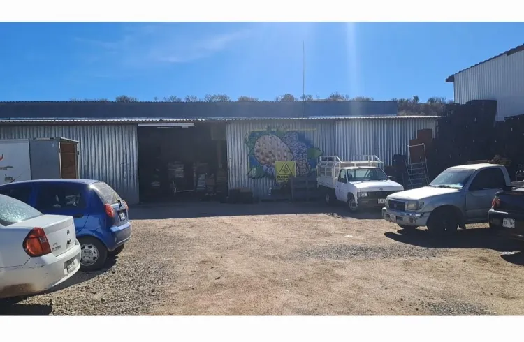 Logra Banco de Alimentos beneficiar a más de 7 mil personas