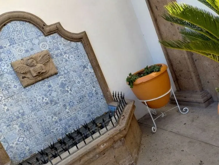 Roban planta en Catedral de Nuestra Señora de Guadalupe