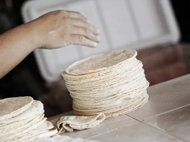 Anuncia AMLO que no habrá aumento de precio de harina de maíz