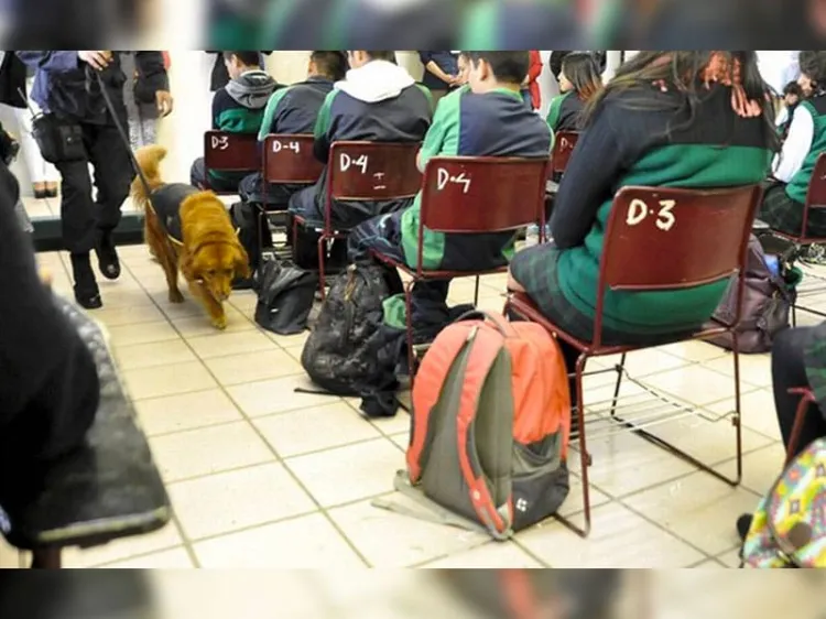 Pide la AEPAF realizar ‘operación mochila’ en escuelas