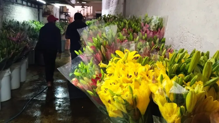 Se hace tendencia regalar flores el 29 de febrero