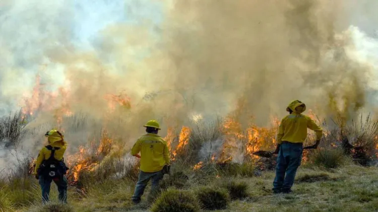 Exhorta la UMPC a evitar incendios forestales