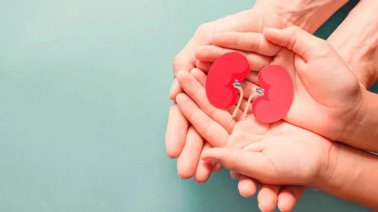 Promueven atención médica por enfermedades renales