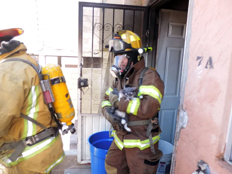 Consume fuego vivienda en la Flores Magón