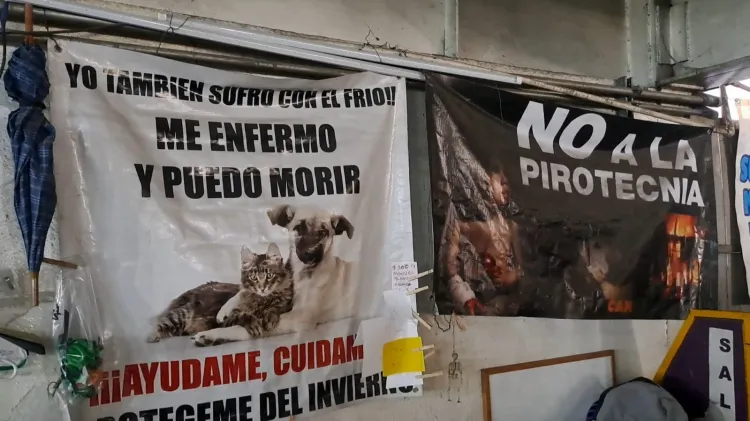 Invitan a bazar en pro de los animales