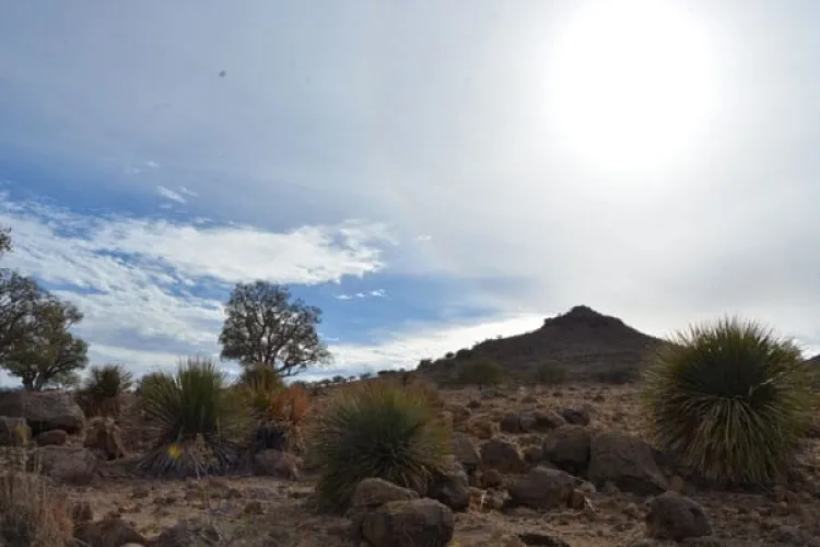 Nogalenses decidirán uso de “La Pirinola”: Alcalde