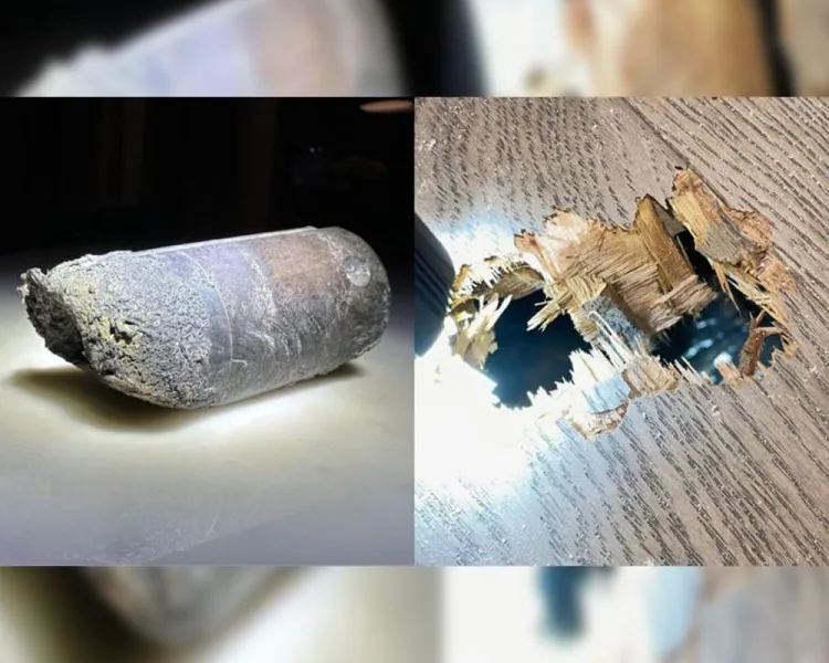 Confirma la NASA que cayeron restos de estación espacial en casa de EU