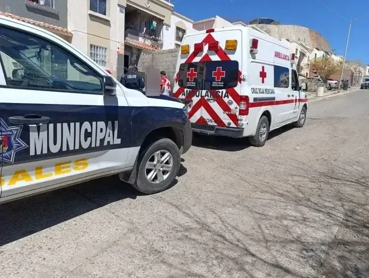 Amistad traicionada: mujer golpeada por su amigo en Nogales