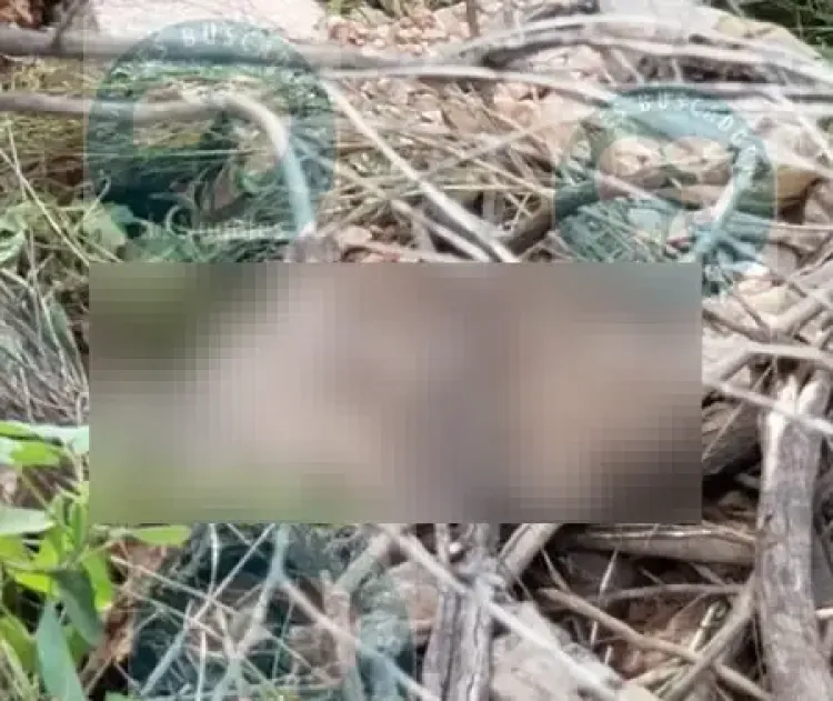 Encuentra cuerpo de hombre cerca de Monarca en Nogales