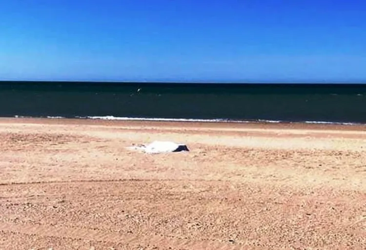 Muere ahogado  unresidente de Arizona